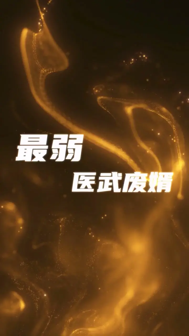 《最弱医武废婿》：逆袭之路，医术武功双绝震四方！