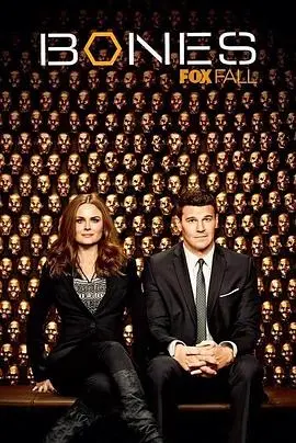 《识骨寻踪第九季》：法医神探再出击，骨骼里的秘密等你来揭秘！