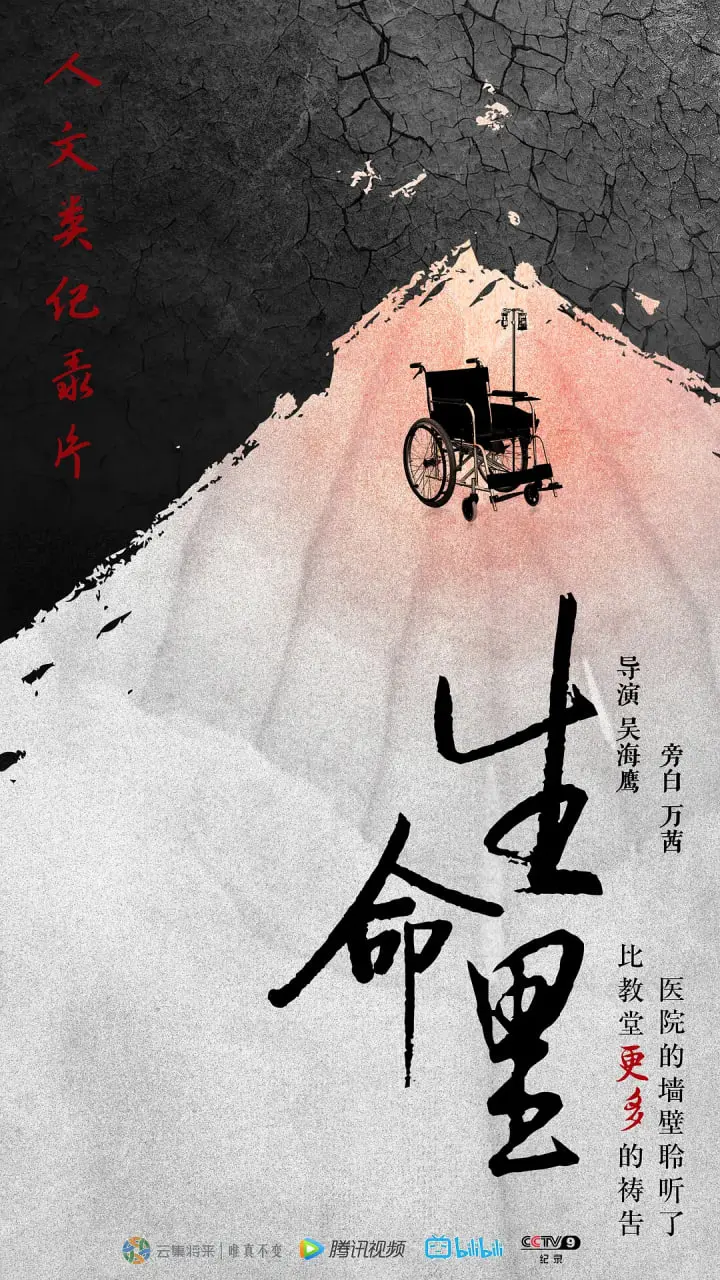 《生命里》：一部关于生命意义的深刻探索，感受导演剪辑版的独特魅力！