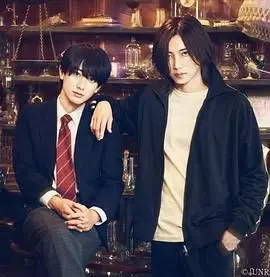 揭开《UNREAL 不条理杂货店》的超现实迷雾：日常生活中的奇妙冒险与幽默碰撞