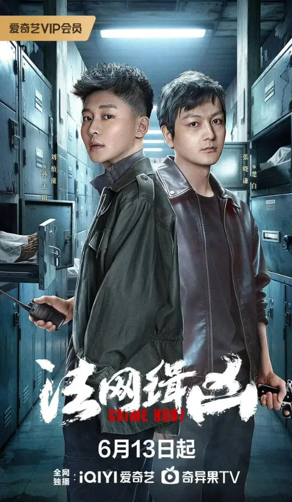 《法网缉凶》：扑朔迷离的悬疑迷案，一场正义与罪恶的终极较量！